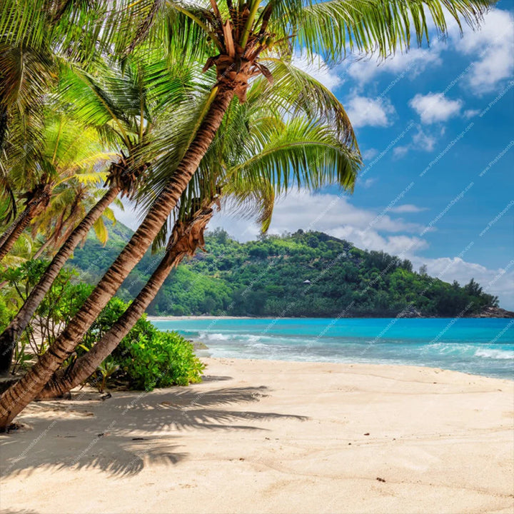 Beach Island Palms - Pillow Cover Backdrop Backdrops