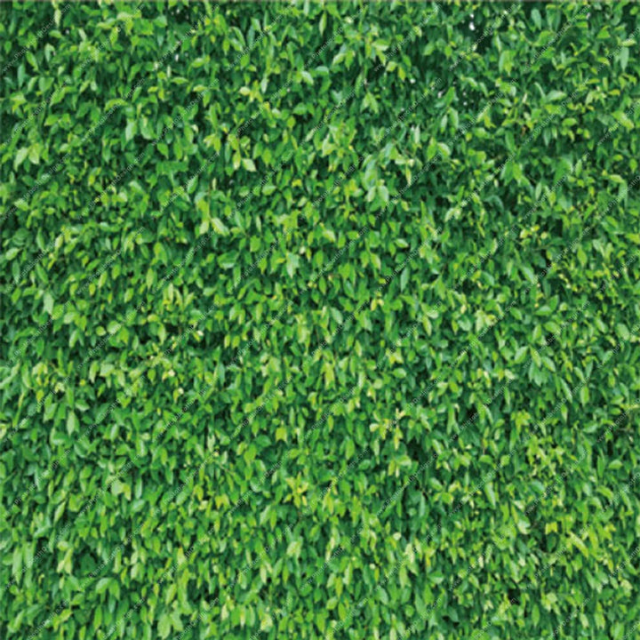 Fresh Grass Lawn – Pillow Cover Backdrop