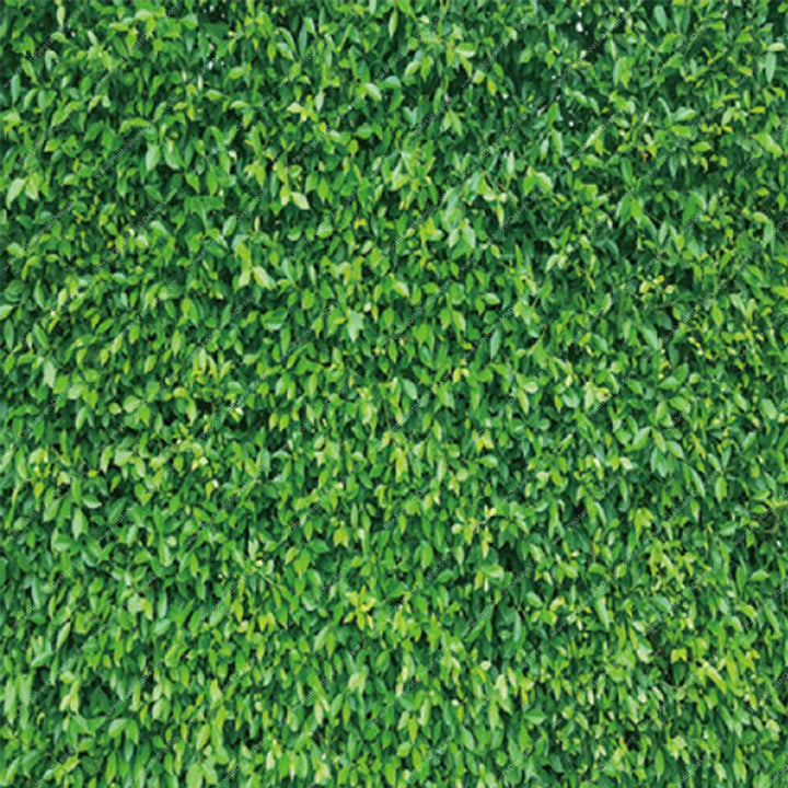 Fresh Green Grass Lawn - Pillow Cover Backdrop