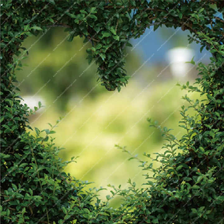 Garden Window Greenery – Pillow Cover Backdrop