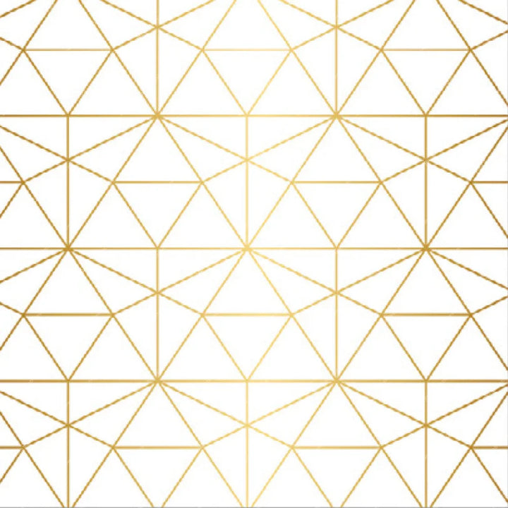 Geometric Gold Lines - Pillow Cover Backdrop