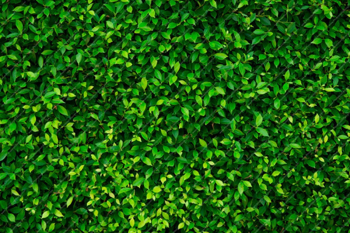 Green Hedge - Pillow Cover Backdrop Backdrops