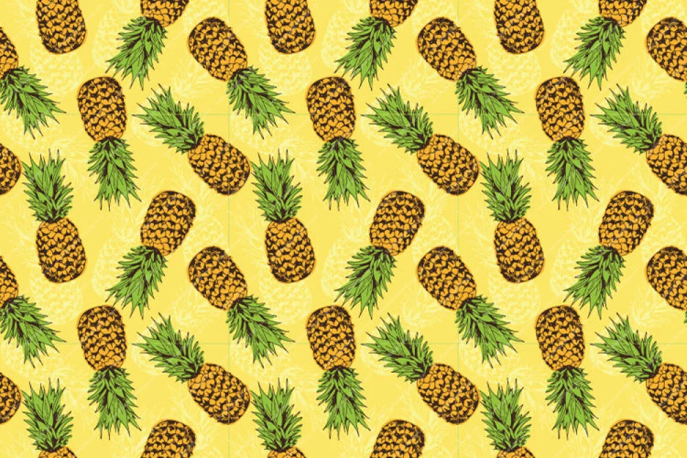 Pineapples - Pillow Cover Backdrop Backdrops