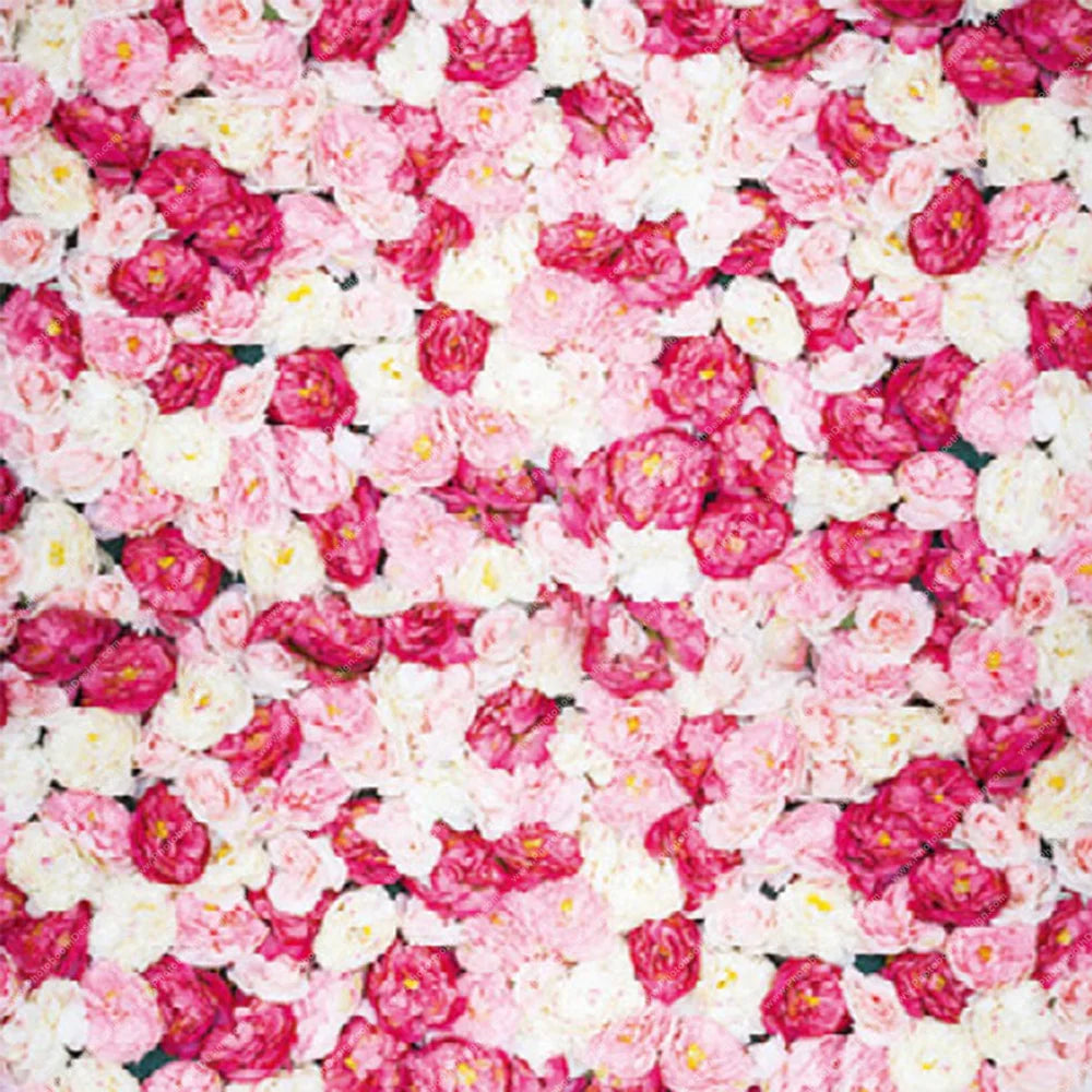 Pink Rose Wall – Pillow Cover Backdrop