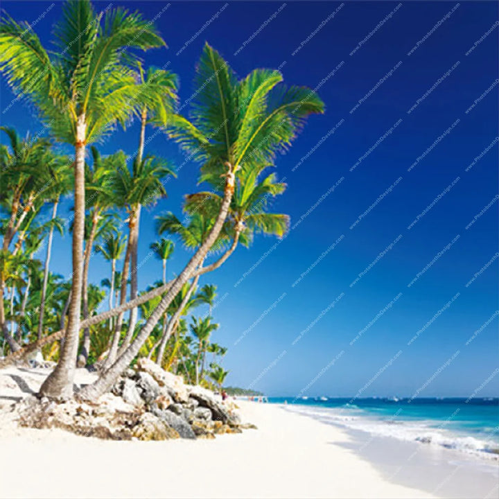 Tropical Beach Paradise - Pillow Cover Backdrop